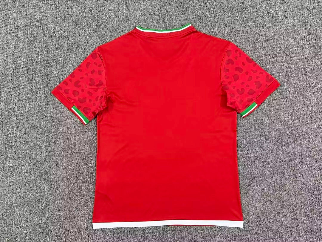 Iran Away World Cup 2026 Jersey - Back