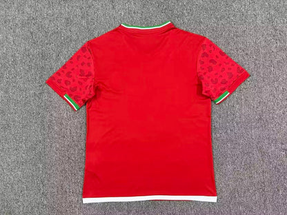 Iran Away World Cup 2026 Jersey - Back