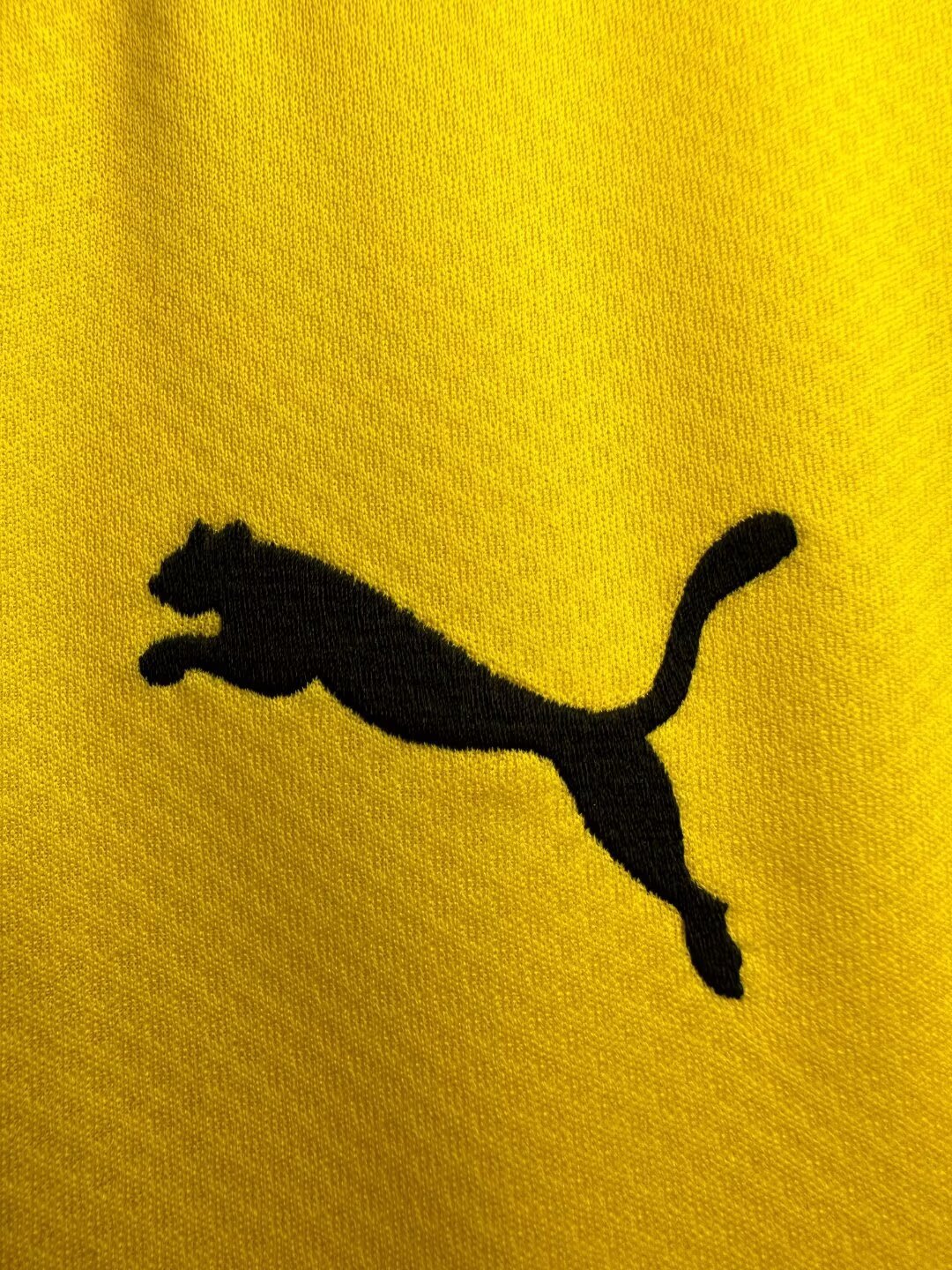 Borussia Dortmund Home Jersey 2019/20