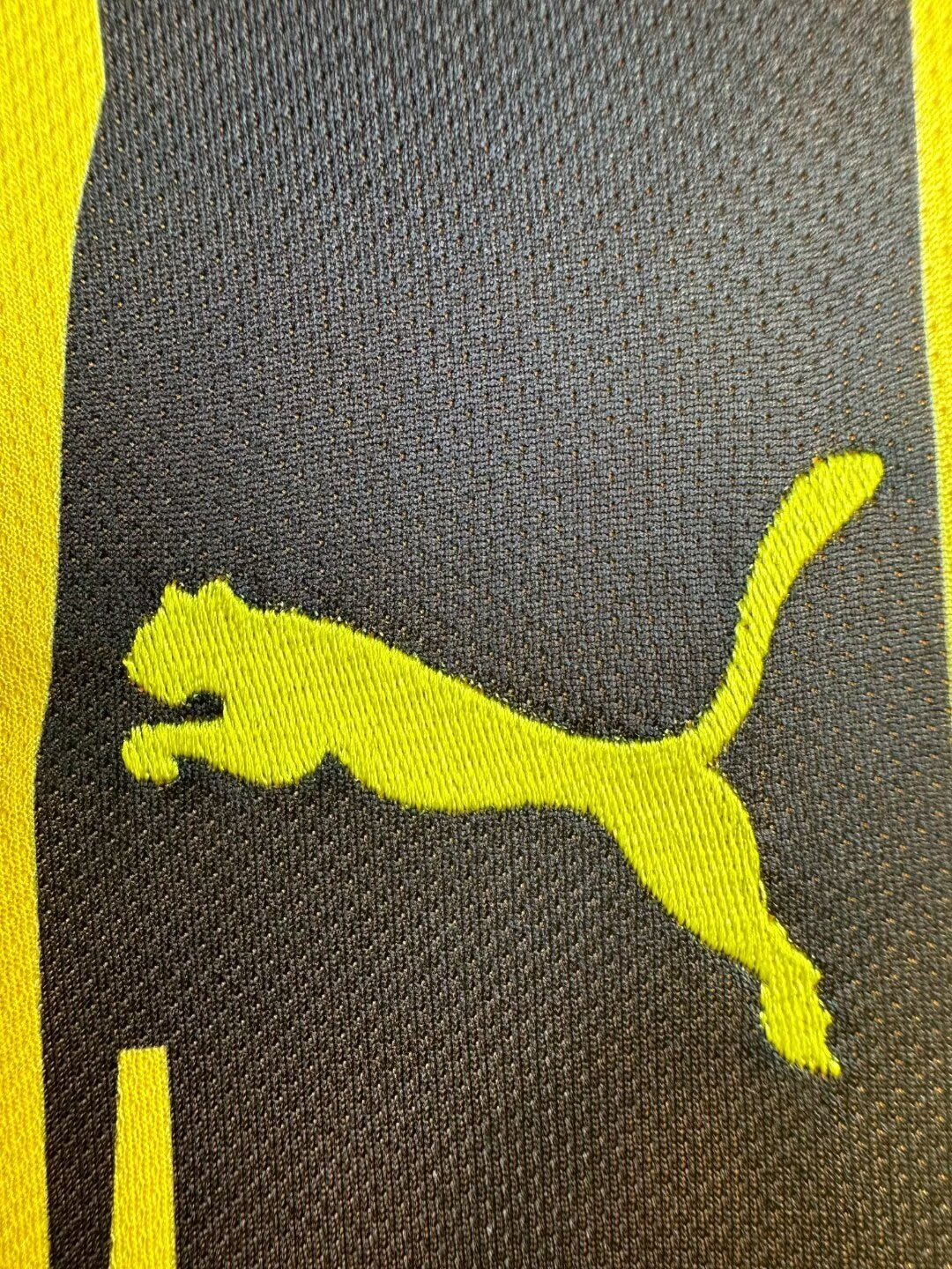Borussia Dortmund Home Jersey 2012/13