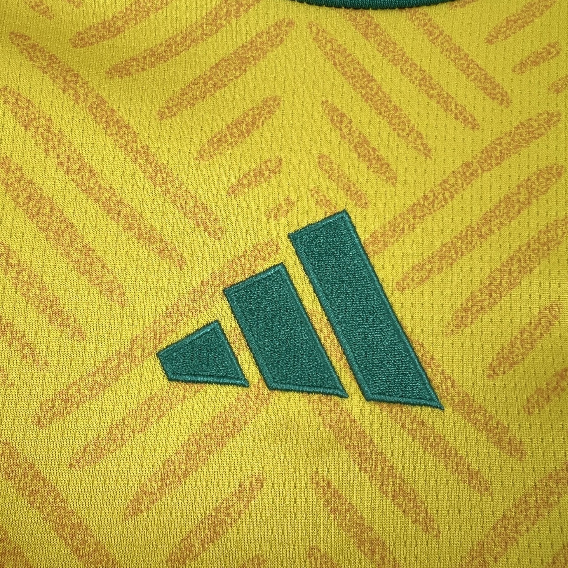 South Africa Home World Cup 2026 Jersey - SAFA crest close-up