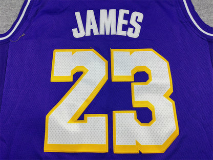 Los Angeles Lakers LeBron James number 23 purple jersey full front