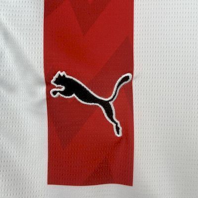 PSV Home Jersey 2025/26