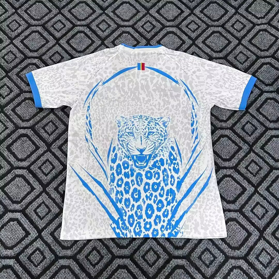 DR Congo Away World Cup 2026 Jersey - Back