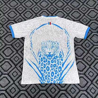 DR Congo Away World Cup 2026 Jersey - Back